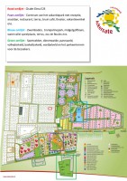 /album/park-plattegrond/parkplattegrond-website-jpg/